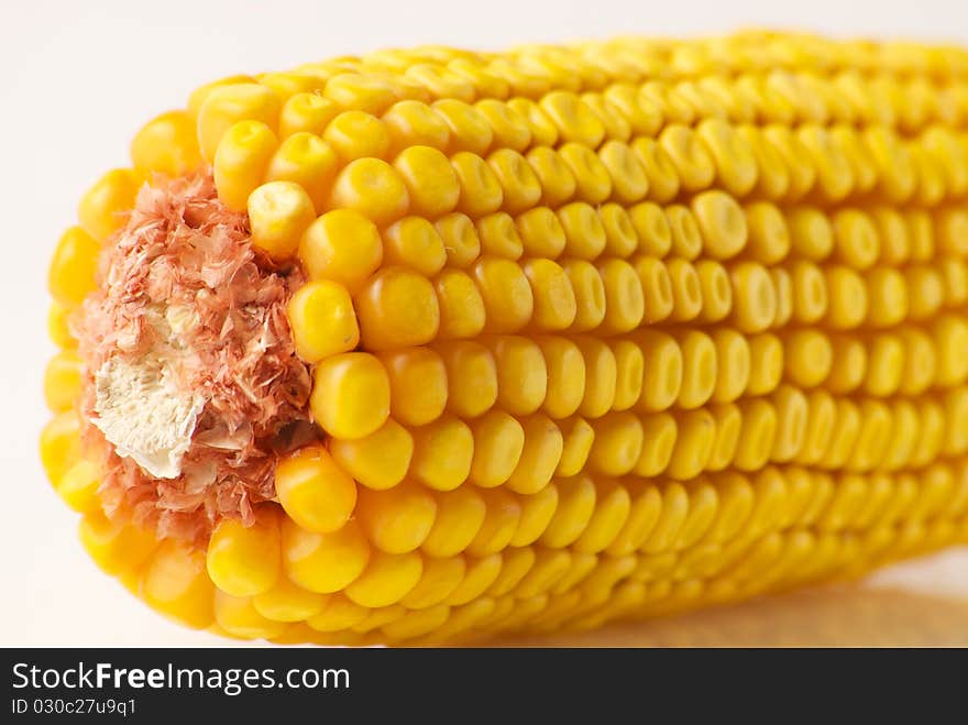 Close up of dried corn