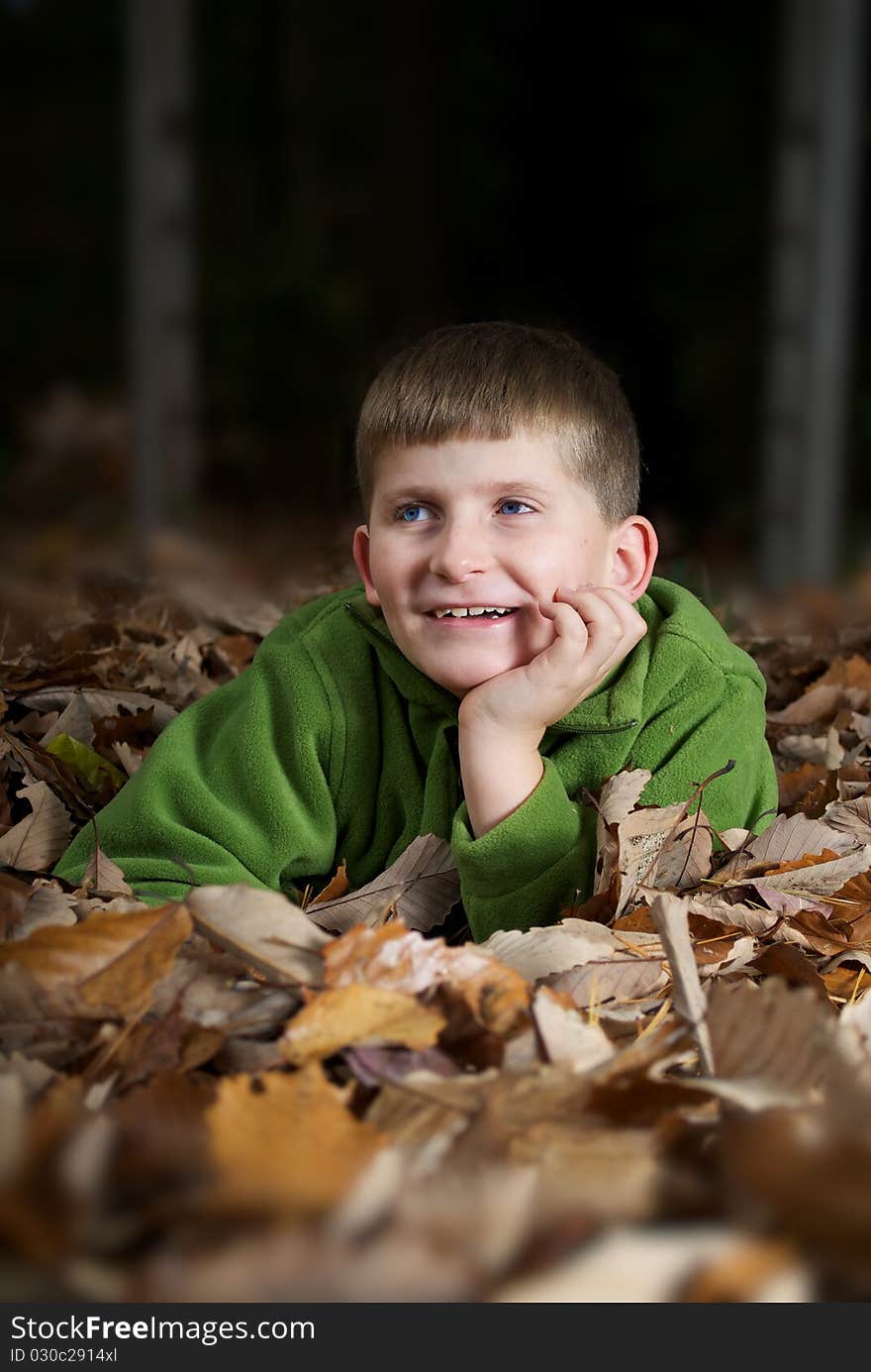 Smiling Boy In Leaves