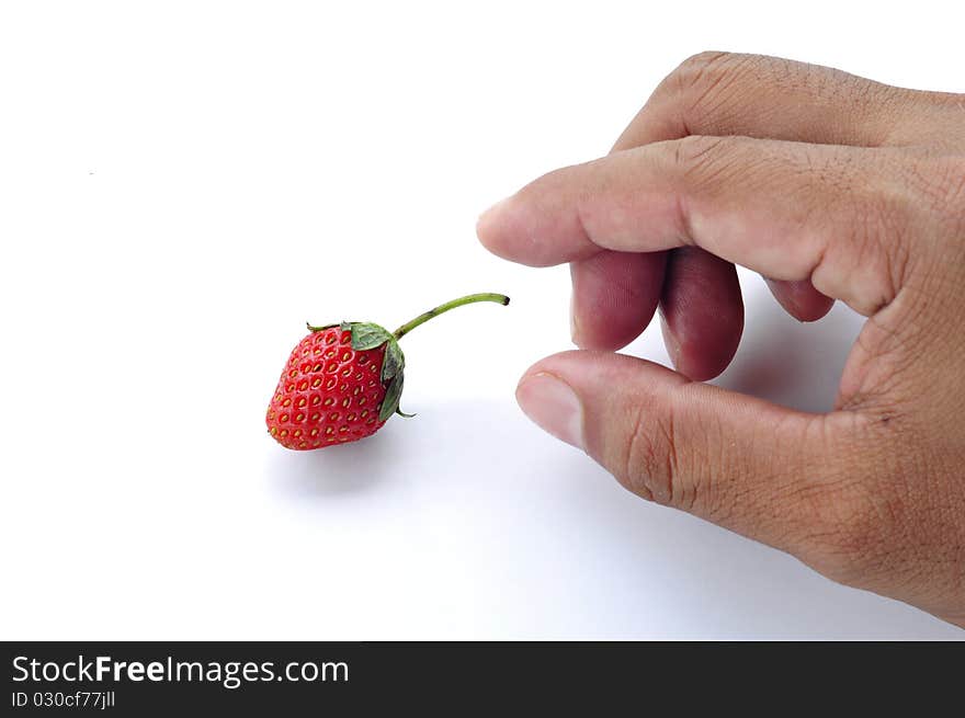 Closeup man's hand with fresh strawberry. isolated on white. Closeup man's hand with fresh strawberry. isolated on white.