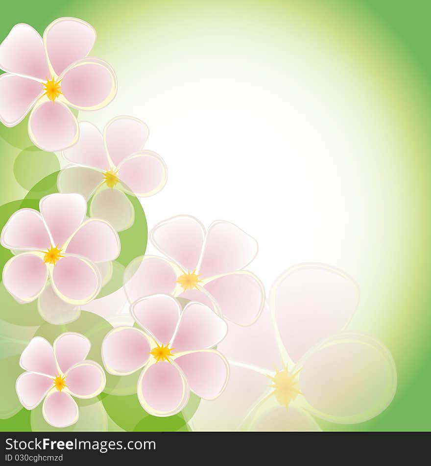 The green background with flowers