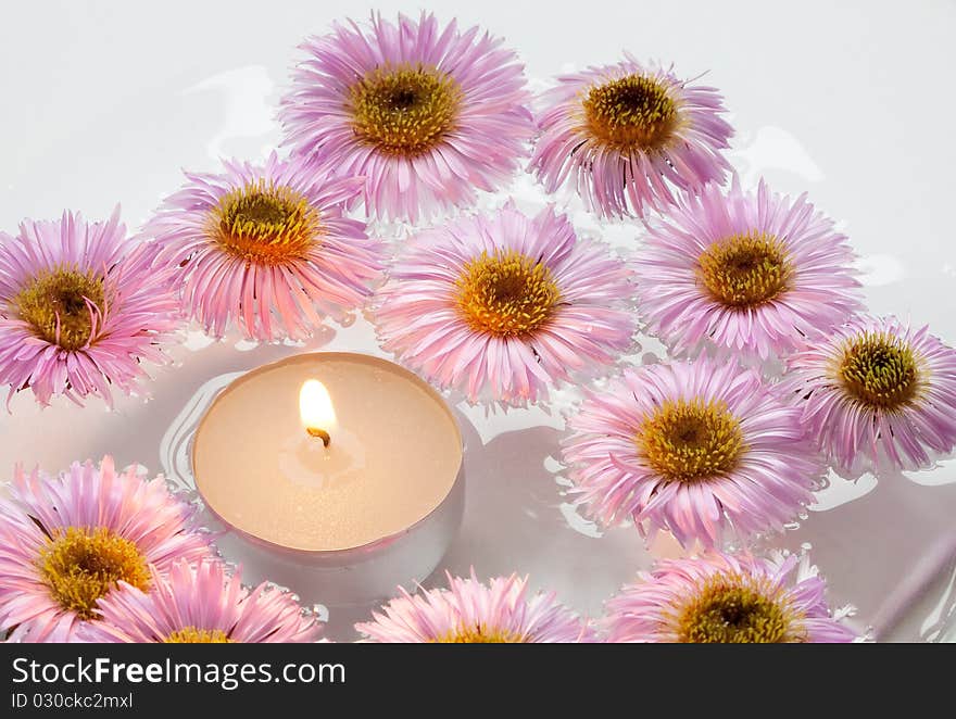 Chrysanthemums And Candle.