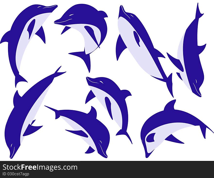 Sea animal dolphins isolated on a white background