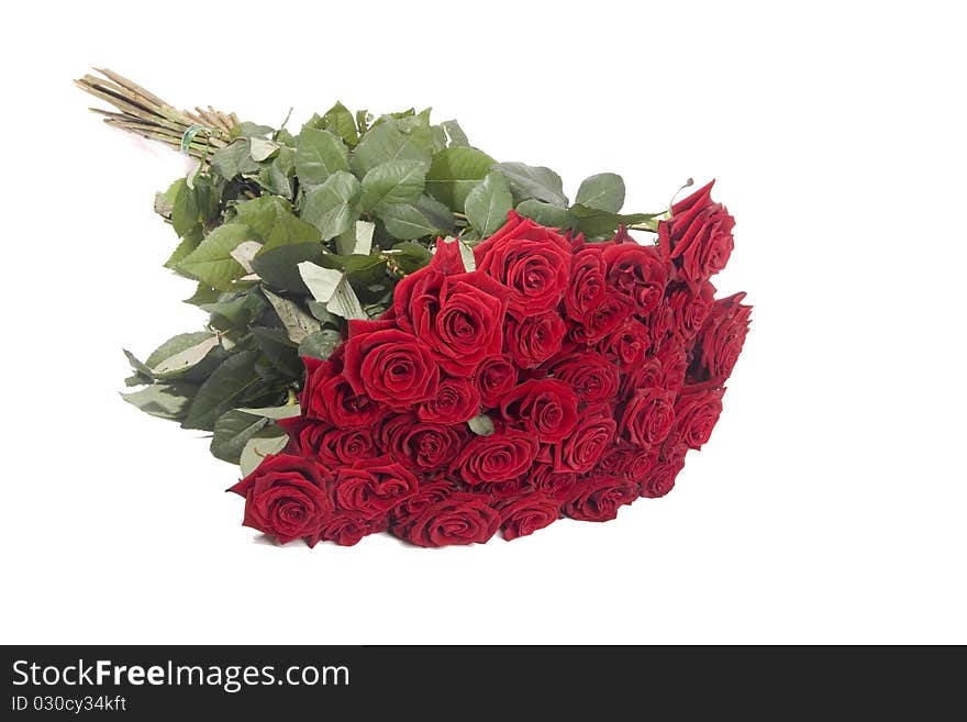 Big bouquet of red roses on white background