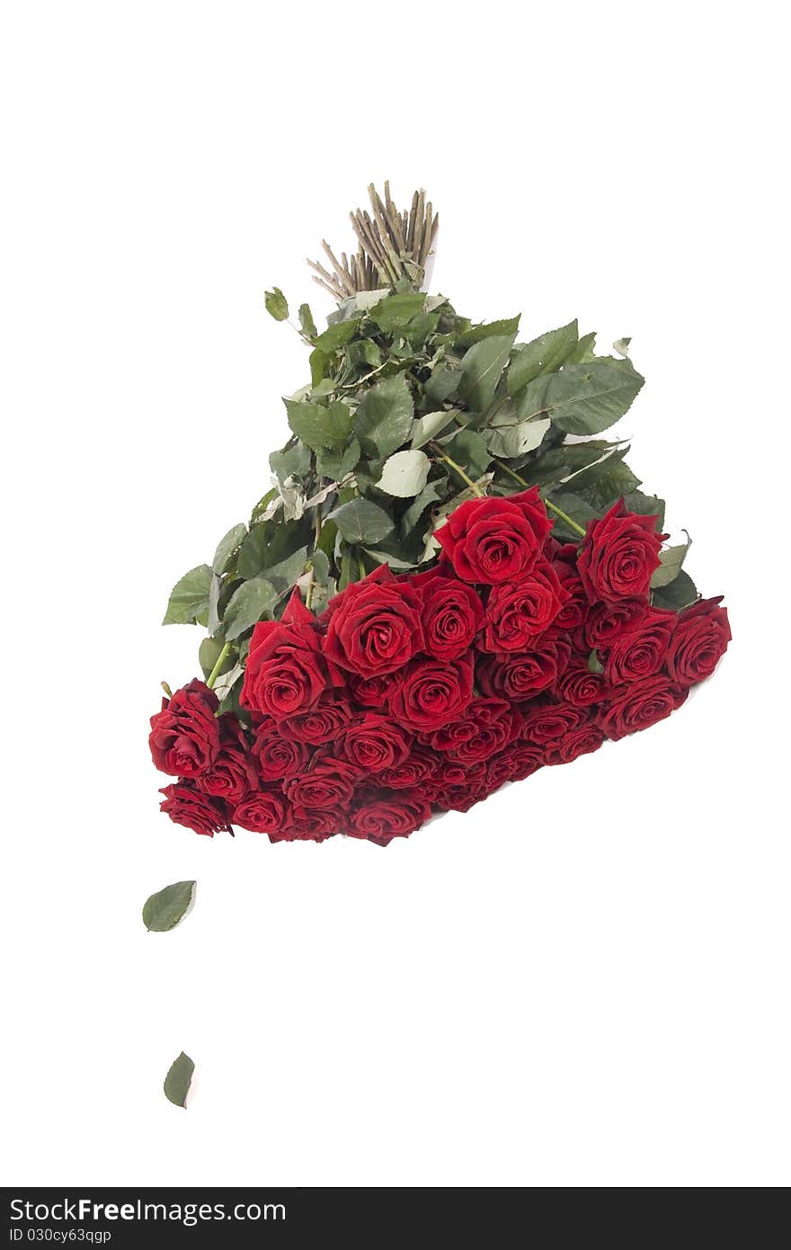 Big bouquet of red roses is on white background