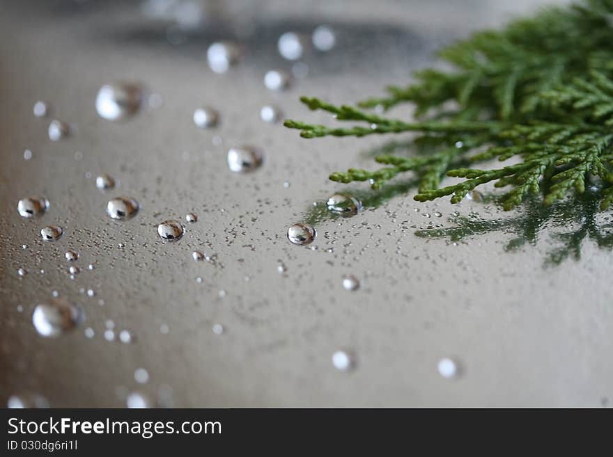 Drops falling on the glass and the reflections of a. Drops falling on the glass and the reflections of a