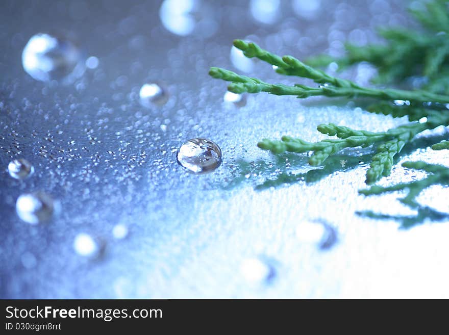 Drops falling on the glass and the reflections of a. Drops falling on the glass and the reflections of a