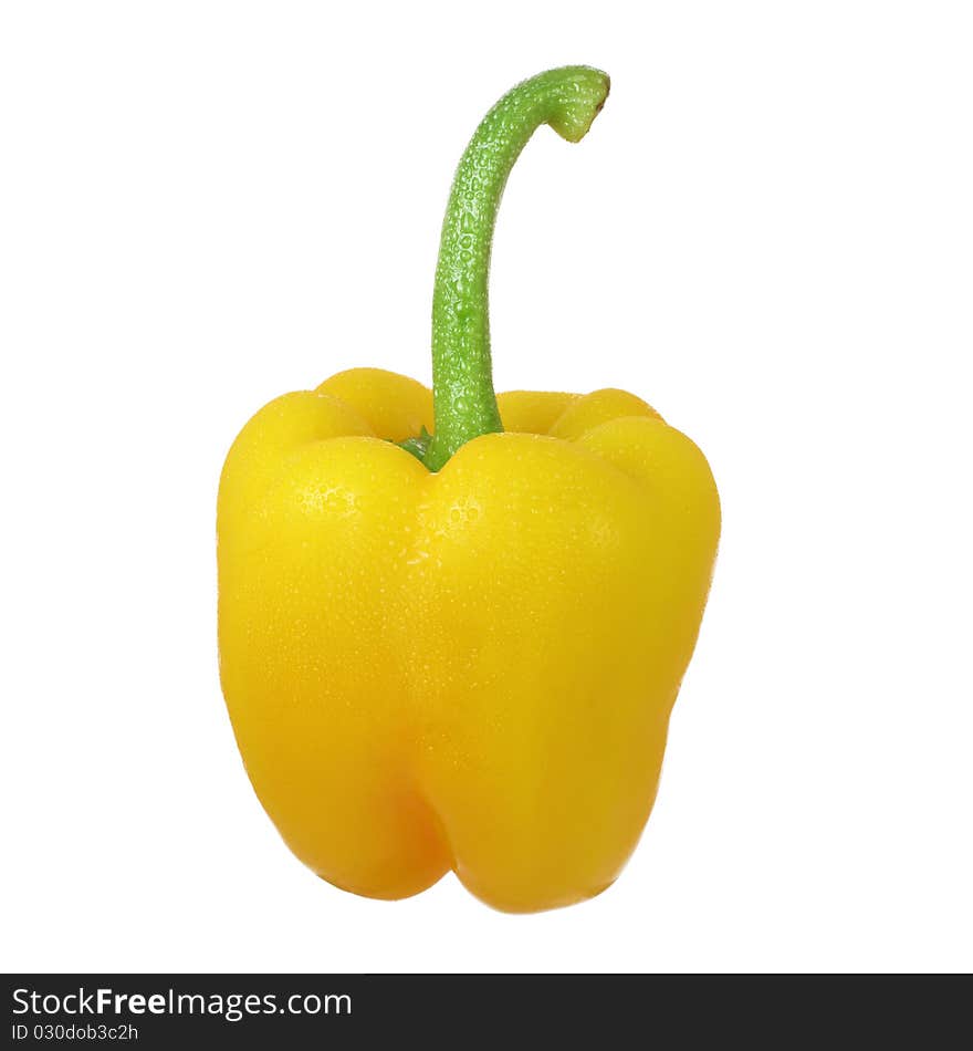 Wet yellow pepper isolated on white background