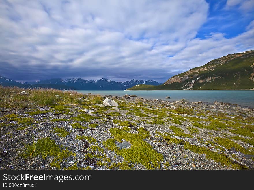 A beach full of broken shells in alaska. A beach full of broken shells in alaska