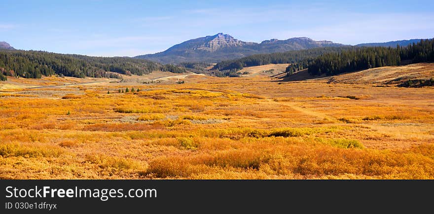 Autumn landscape