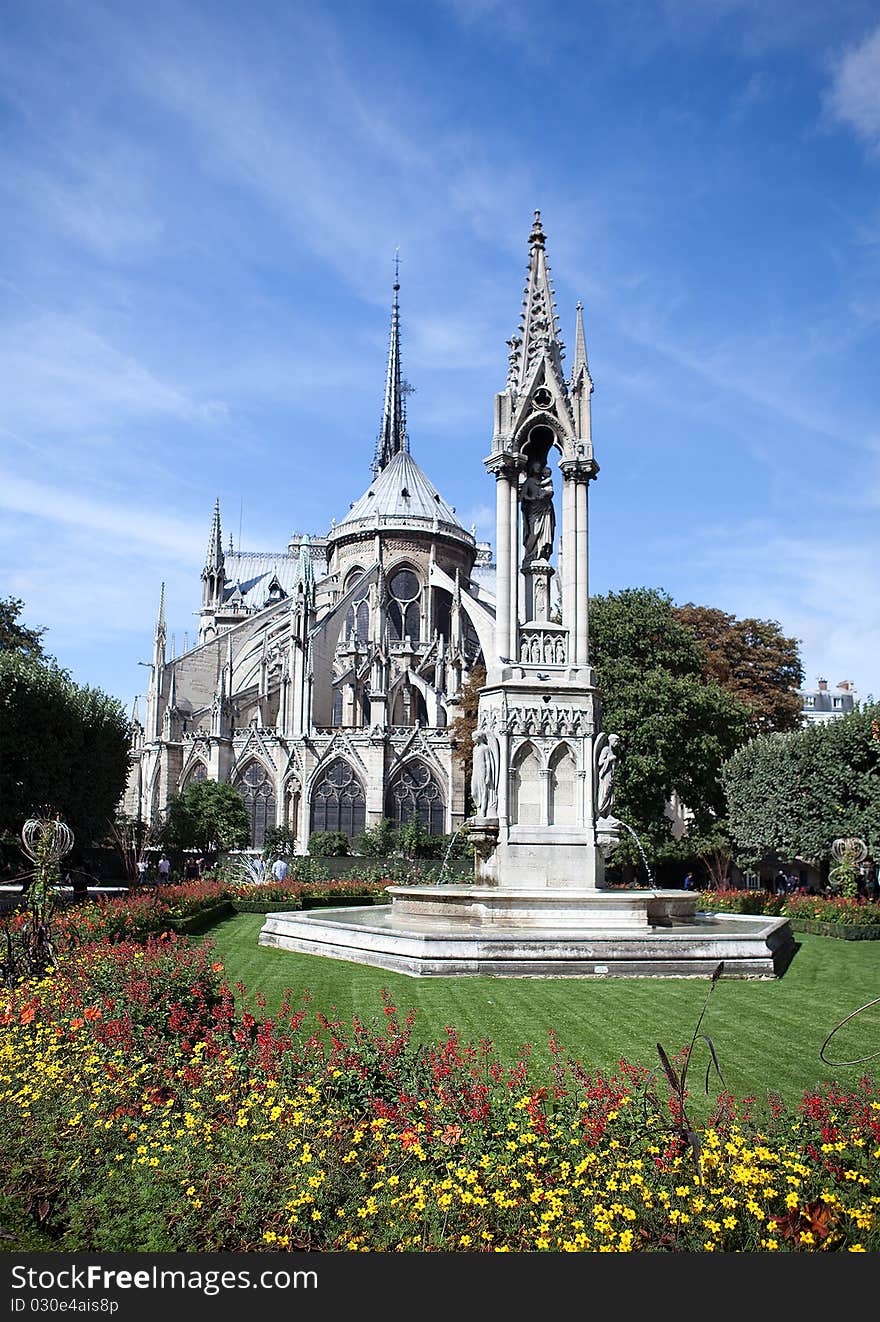 Kind on flowers and a cathedral of the Parisian mother of god. Kind on flowers and a cathedral of the Parisian mother of god