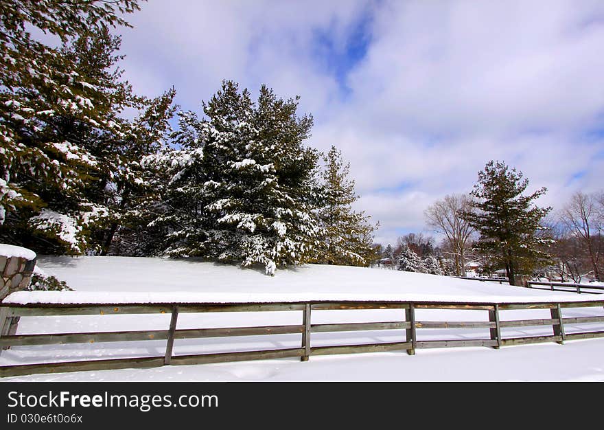 Beautiful winter scene