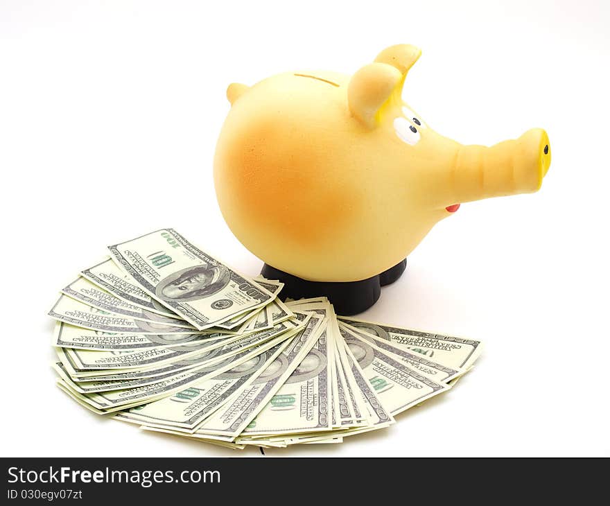 Piggy piggy bank on white background with money