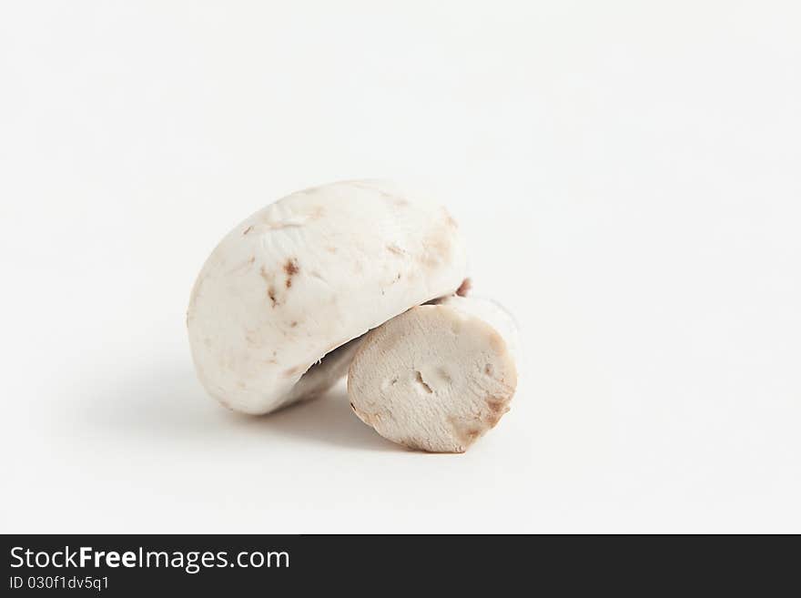 A white mushroom close up