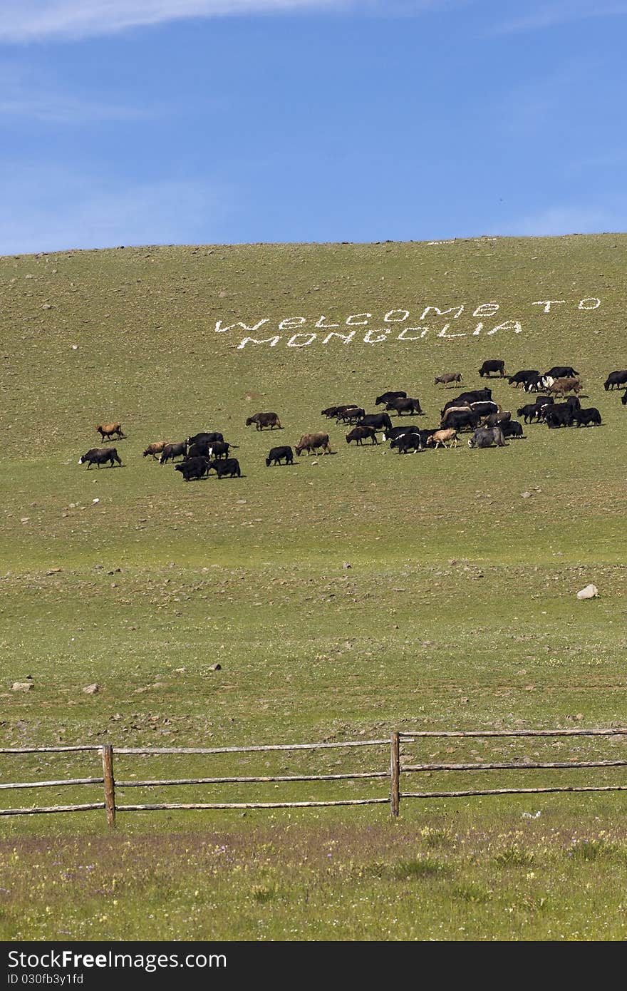 Greeting for tourists made with white stones in steppe. Greeting for tourists made with white stones in steppe