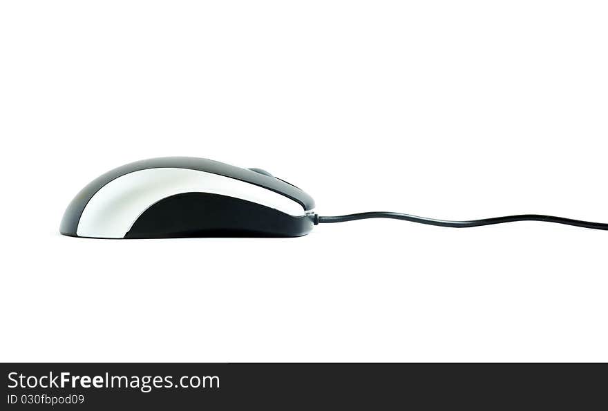 Computer mouse isolated on a white background