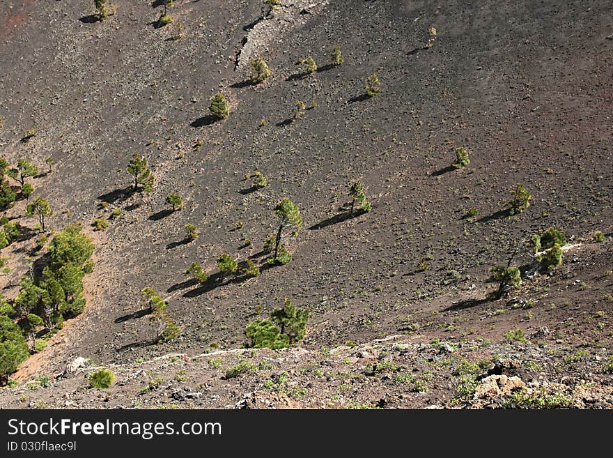 This is the crater of the San Antonio volcano, that erupted a few centuries ago last time. This is the crater of the San Antonio volcano, that erupted a few centuries ago last time.