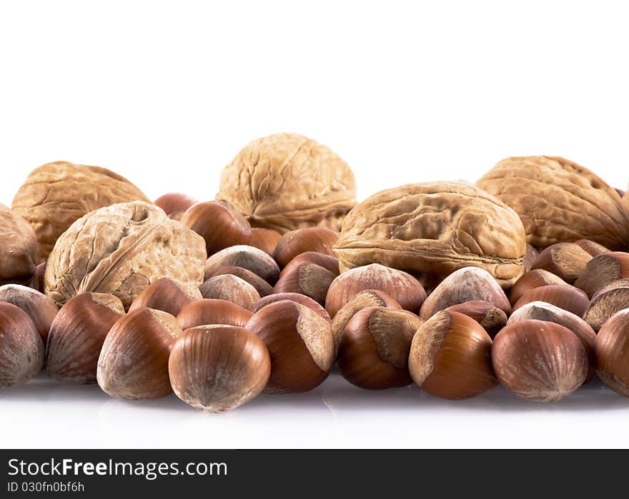 Walnuts and hazelnuts in line on a white background. Walnuts and hazelnuts in line on a white background.