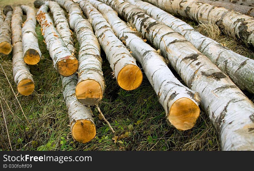 Chopped wood piles along the road