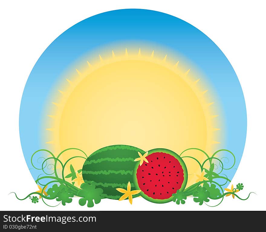 Glowing summer sun over a patch of juicy, ready-to-eat watermelons surrounded by swirling vines and creamy yellow flowers; file contains clipping path. Glowing summer sun over a patch of juicy, ready-to-eat watermelons surrounded by swirling vines and creamy yellow flowers; file contains clipping path.