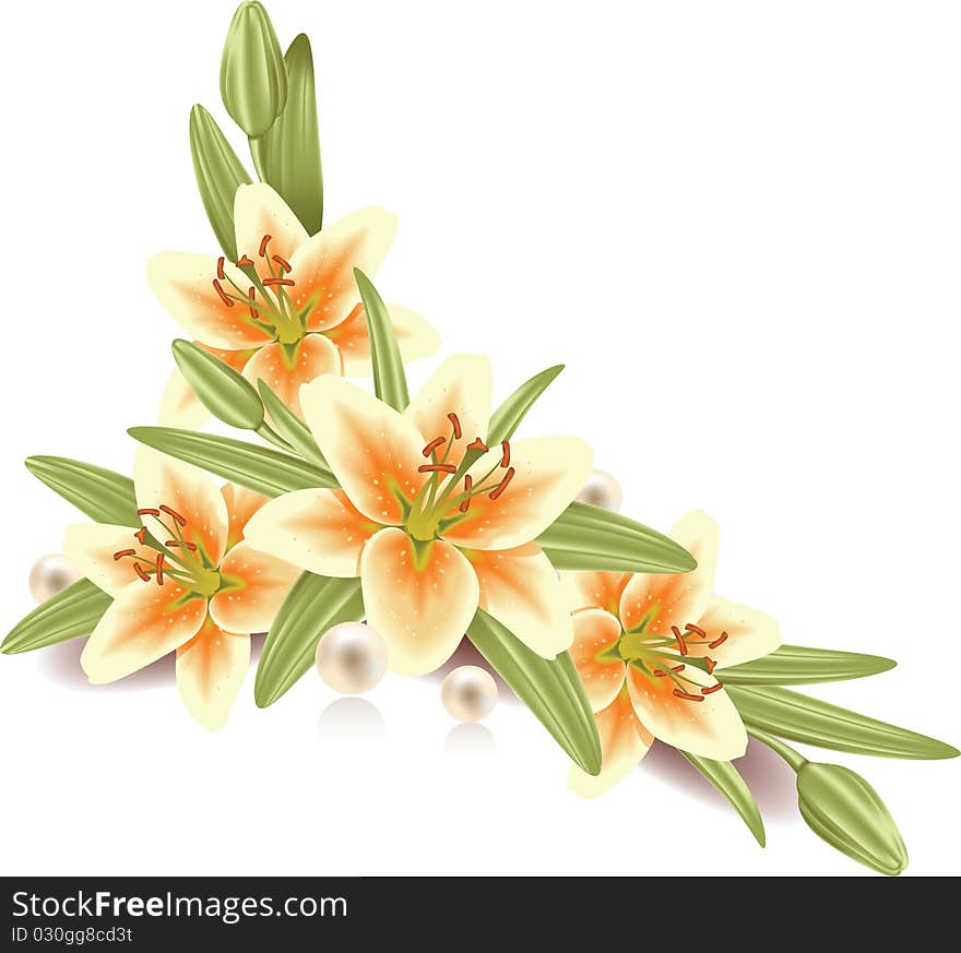 Vector illustration of flower arrangement with lilies. Vector illustration of flower arrangement with lilies.