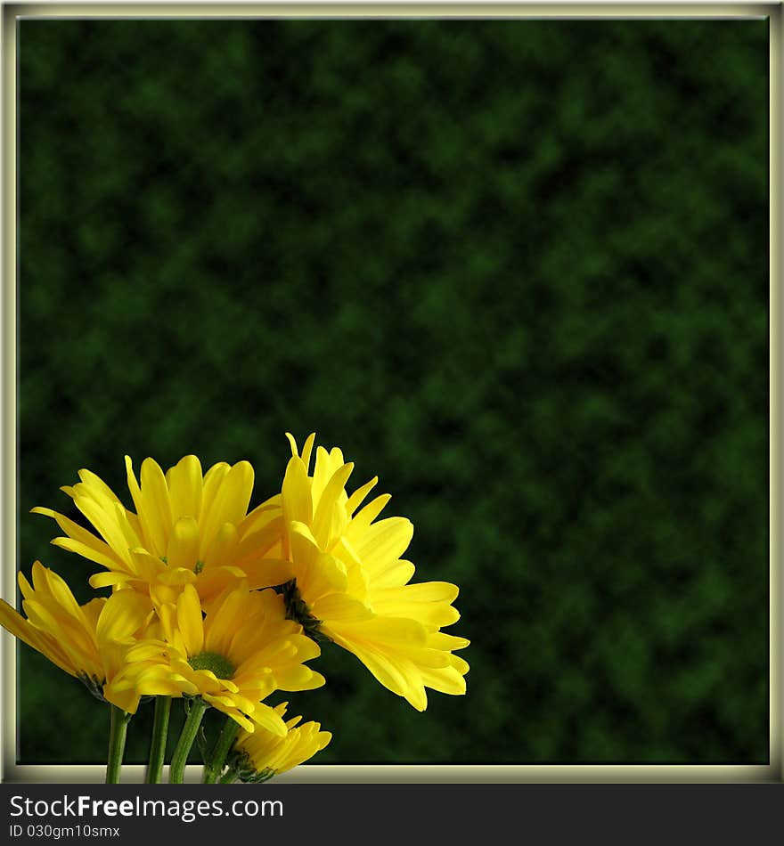 Bunch of Yellow Daisies Border on Green; for scrapbooking, copyspace