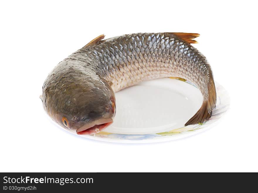 Raw fish isolated on white background