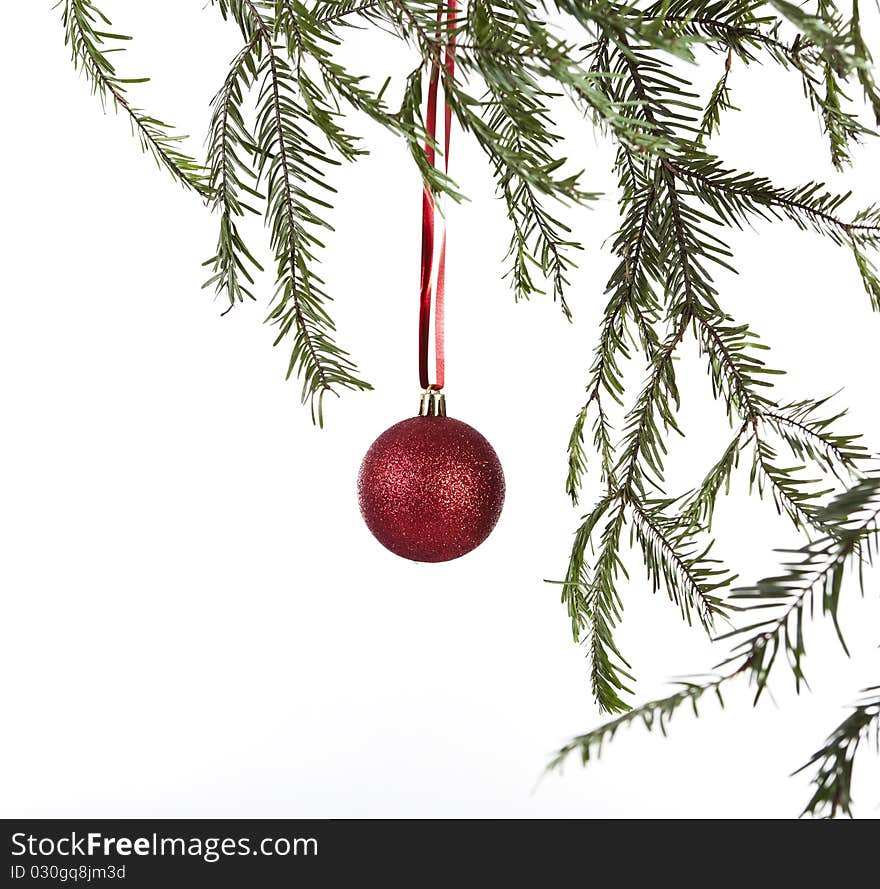 Red Christmas ball hanging from Tree