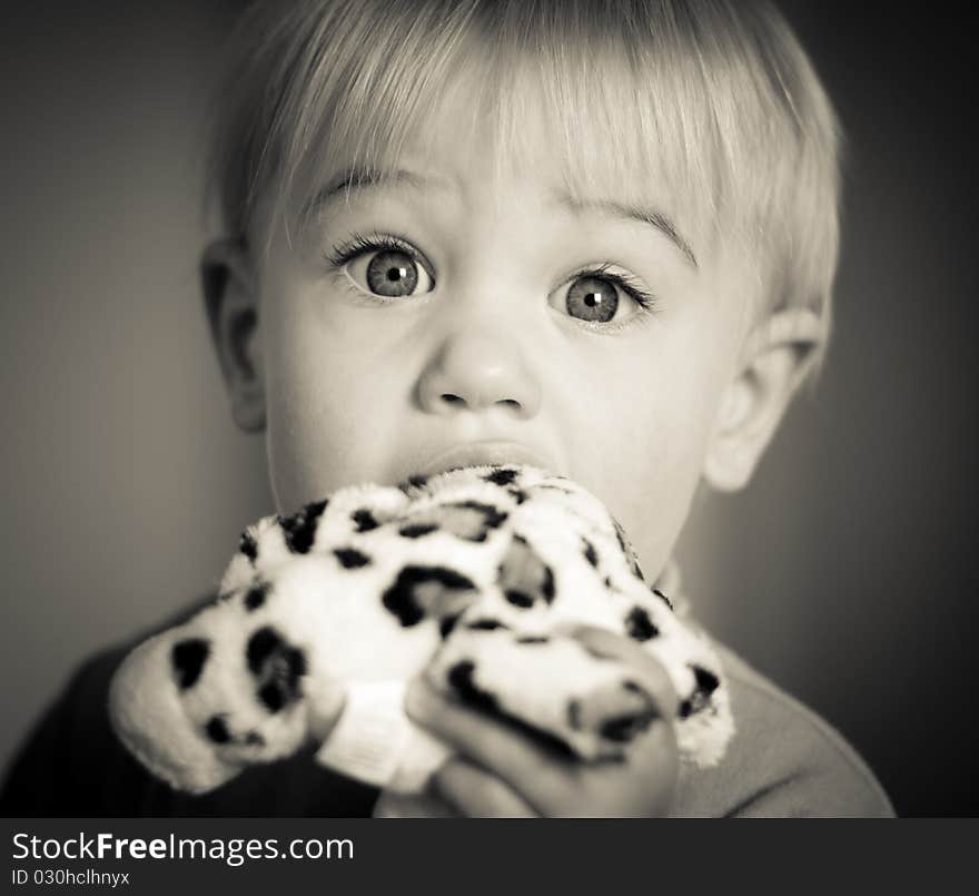 Little girl biting her stuffed leopard toy. Little girl biting her stuffed leopard toy