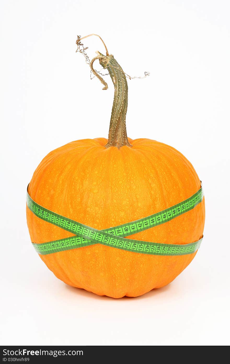 Pumpkin And Green Measured Tape