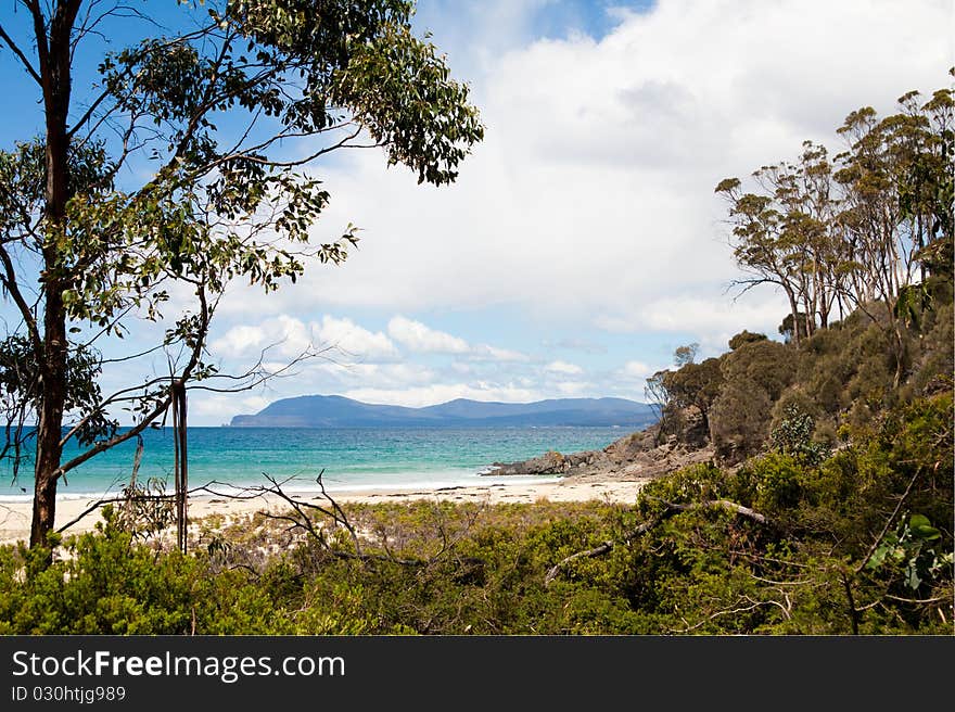 Tasmanian beachside