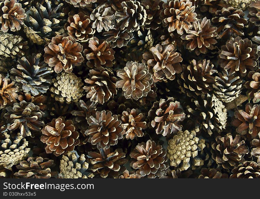 Pine cones