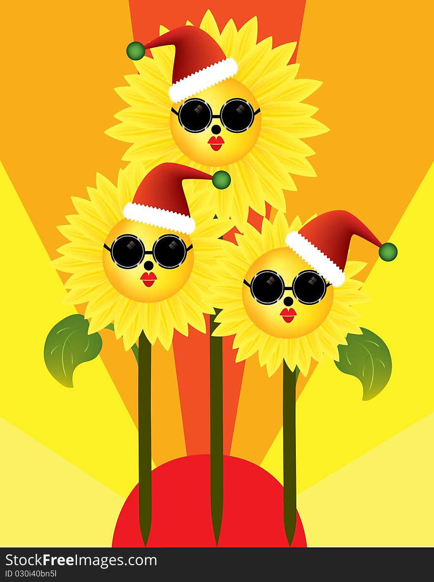 Merry Christmas from sunflowers in the sun