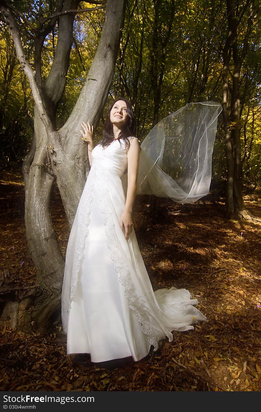 Trash the dress in autumn forest