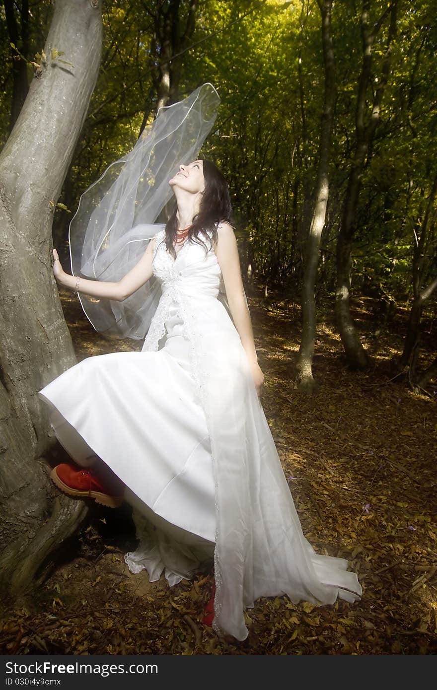 Trash the dress in autumn forest