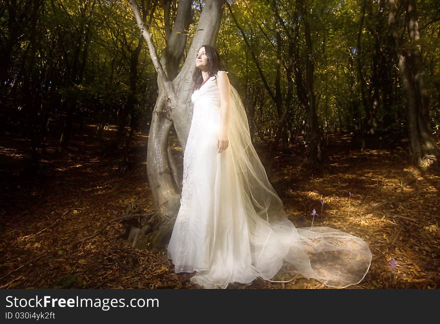 Trash the dress in autumn forest