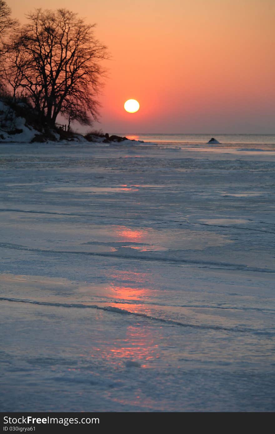 Beautiful lonely tree in winter. Snowy landscape. Beautiful lonely tree in winter. Snowy landscape