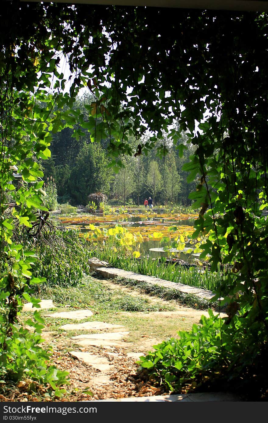 IThe botanical garden of beauty in Pekingiii