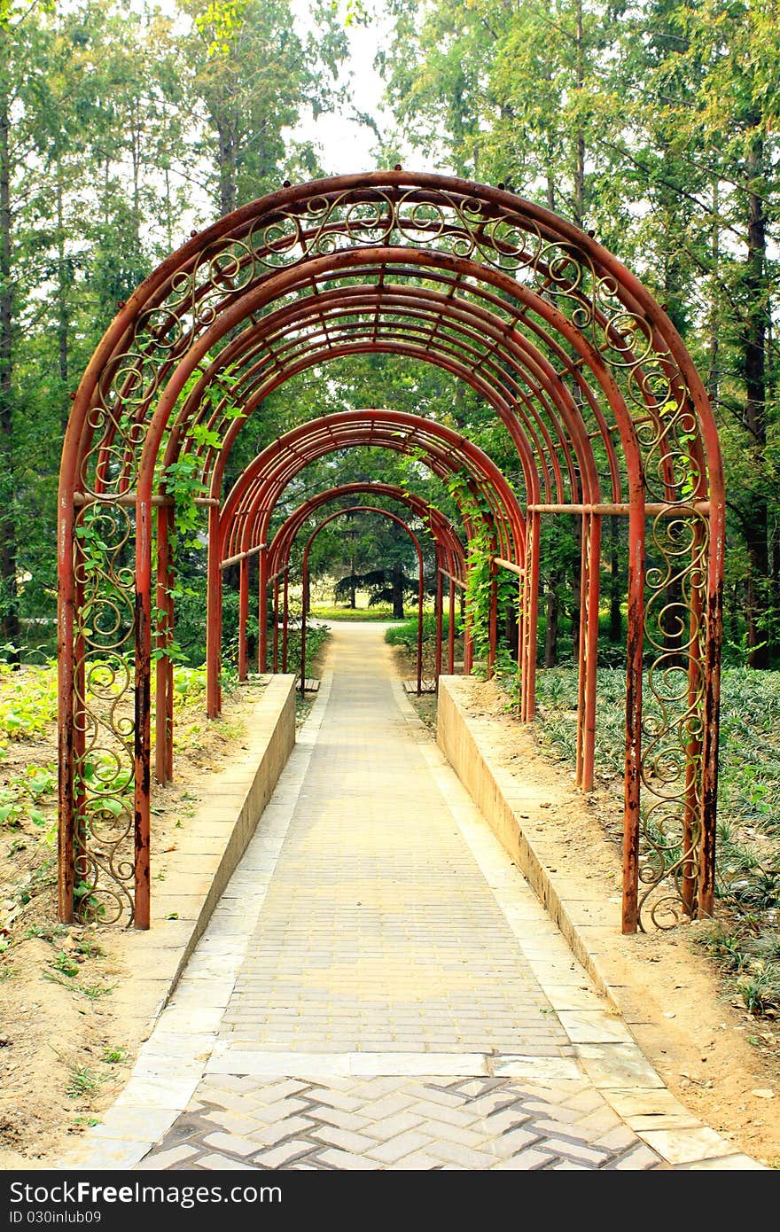 IThe Botanical Garden Of Beauty In Pekingiii