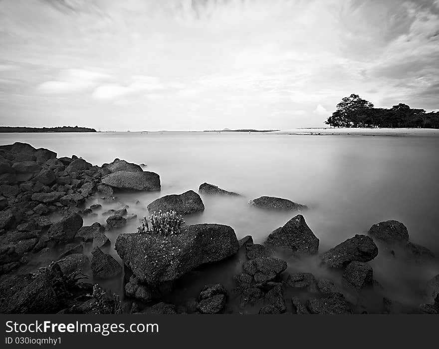 Photo taken at Changi Boardwalk. Photo taken at Changi Boardwalk