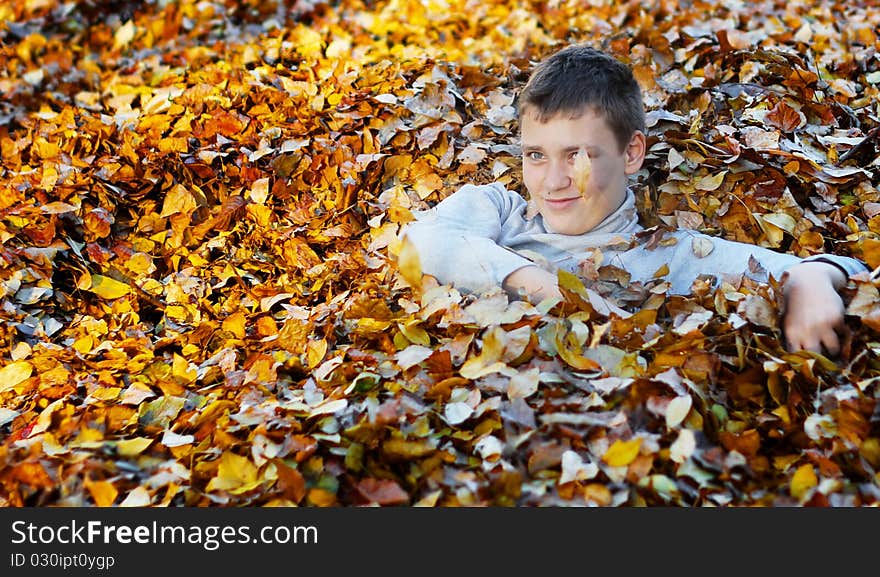 Boy In Autumn Leaves