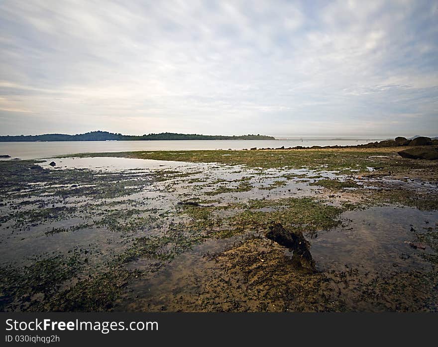 Photo taken at Changi Boardwalk. Photo taken at Changi Boardwalk