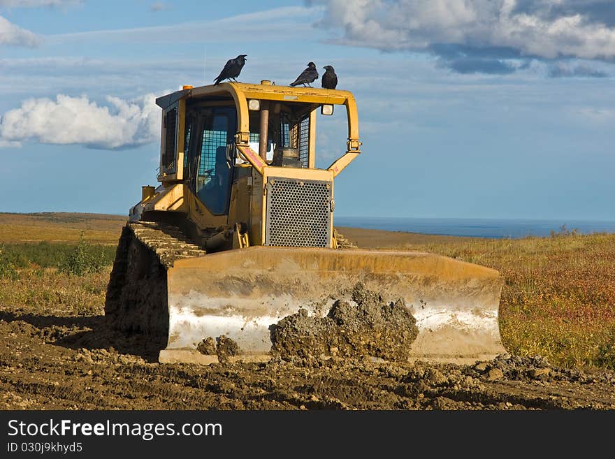 Birds chirping over construction