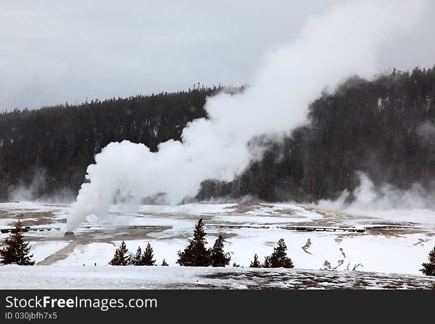 Hot geysers in Yellowstone NP, USA