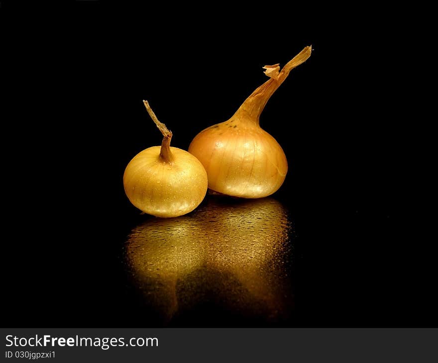 Bulbs of onion on the black background with water drops