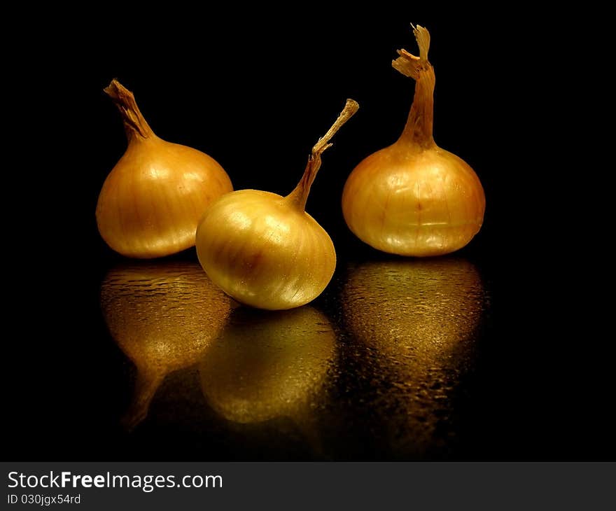 Bulbs of onion on the black background with water drops