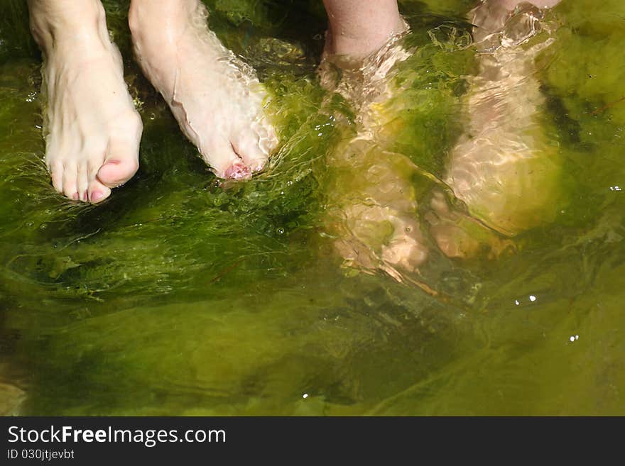 Human foot in the seaweed