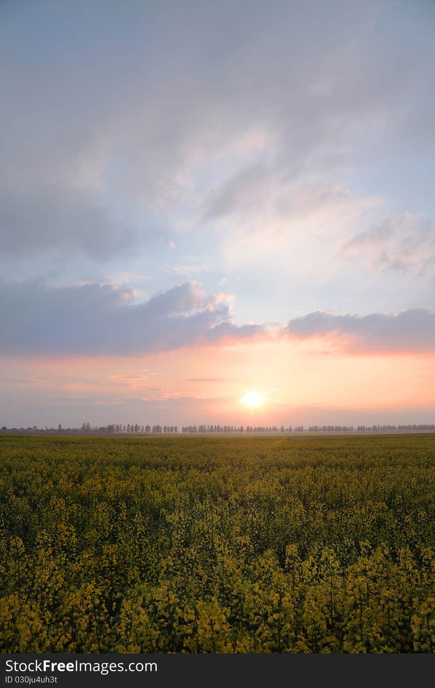 Looking over a rural Polish landscape. Looking over a rural Polish landscape