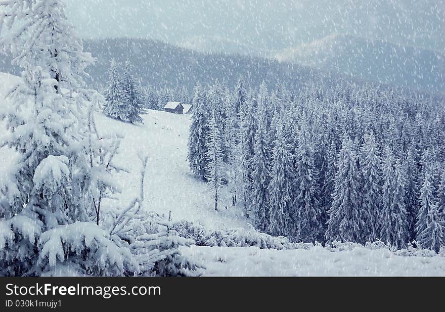 Winter Landscape In Mountains