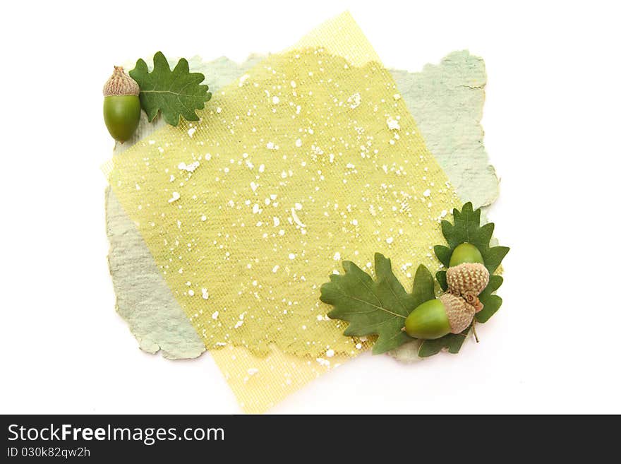 Decorative background with acorns and oak leaves, isolated