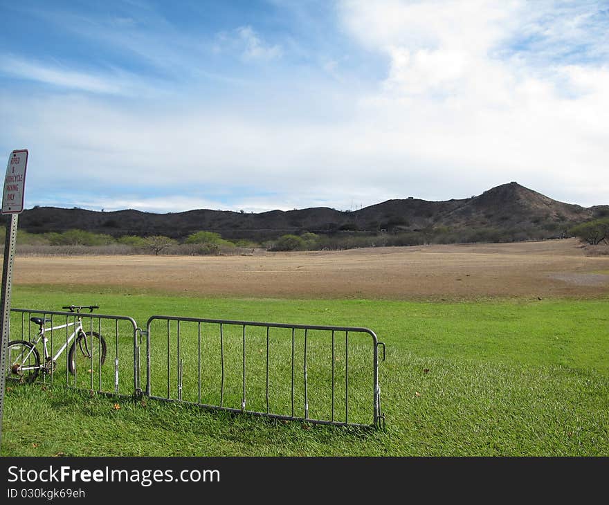 Colorful field at Diamond Head,Hawaii